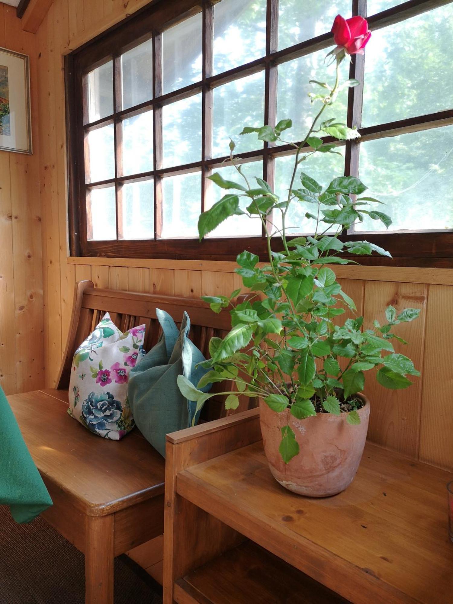 Ferienwohnung Schmidt - Natur Und Ruhe Schwaigen Cameră foto